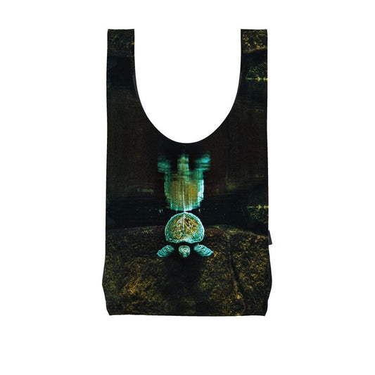 Turtle Shopper – Enter the Stillness 2437309_0_3d