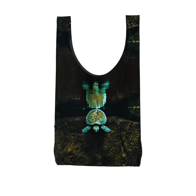 Turtle Shopper – Enter the Stillness 2437309_1_3d