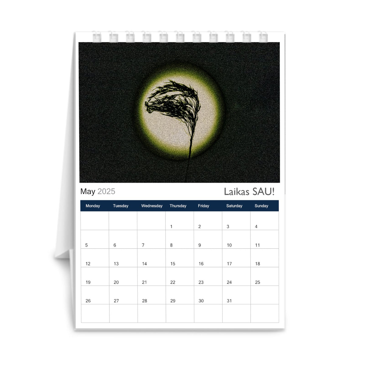 2025 Inspirarional Desk Calendar